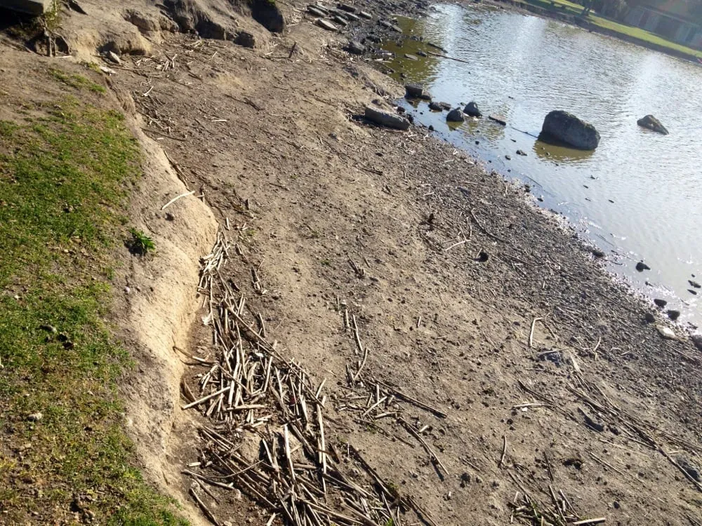 Expert outdoor landscaping near you in Livermore, CA by Sycamore Landscaping