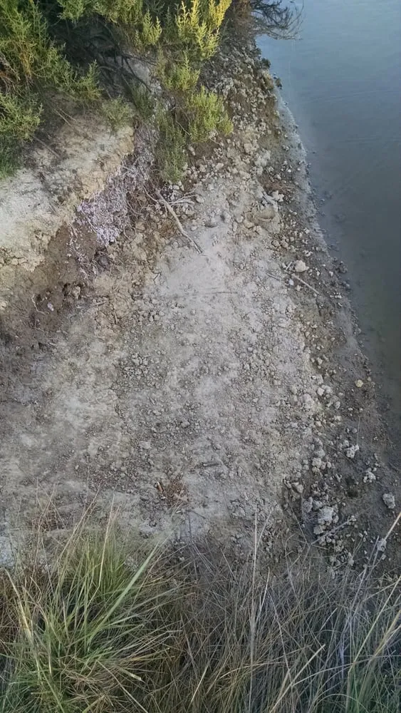 Custom landscaping services in Livermore, CA - Sycamore Landscaping