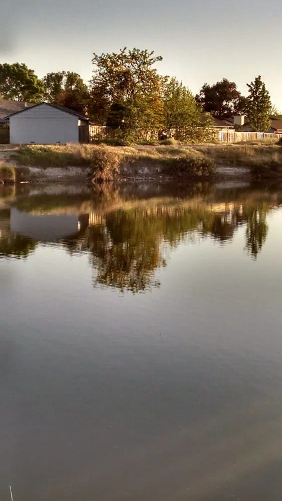 Professional yard cleanup service for outdoor upgrades in Livermore, CA by Sycamore Landscaping