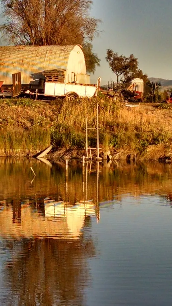 Top-rated residential landscaping for outdoor upgrades across Livermore, CA - Sycamore Landscaping