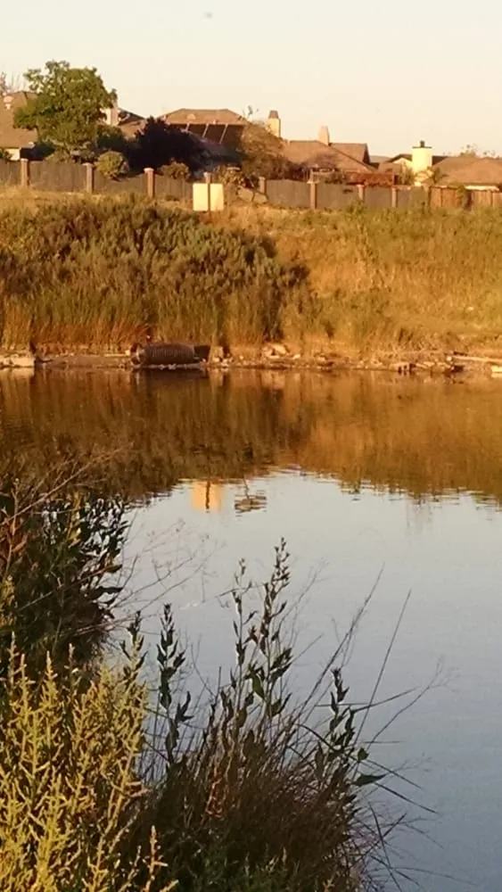 Expert landscape design with custom design across Livermore, CA - Sycamore Landscaping