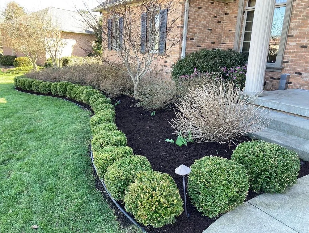 Reliable outdoor landscaping for residential properties in Terre Haute, IN by Sycamore Property Solutions