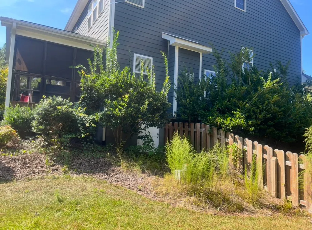 Top-rated yard maintenance for year-round maintenance across Carthage, NC - Sykes Scapes