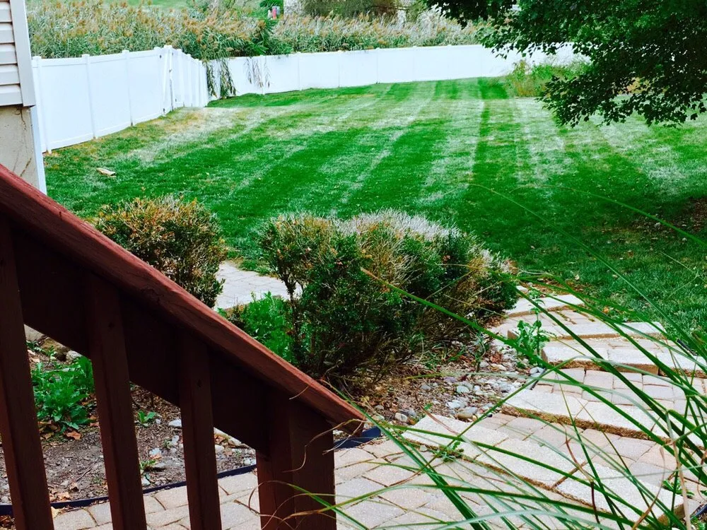 Trusted lawn care service for residential properties across Middletown, DE - Sylca Landscaping