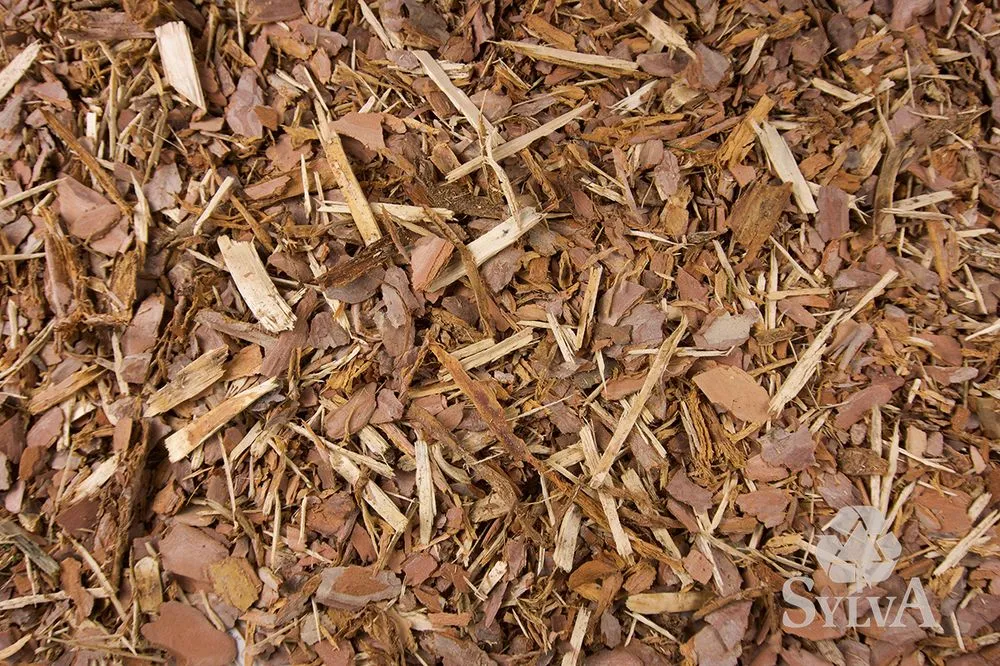 Reliable yard cleanup service for residential properties across Princeton, MN - Sylva Corporation