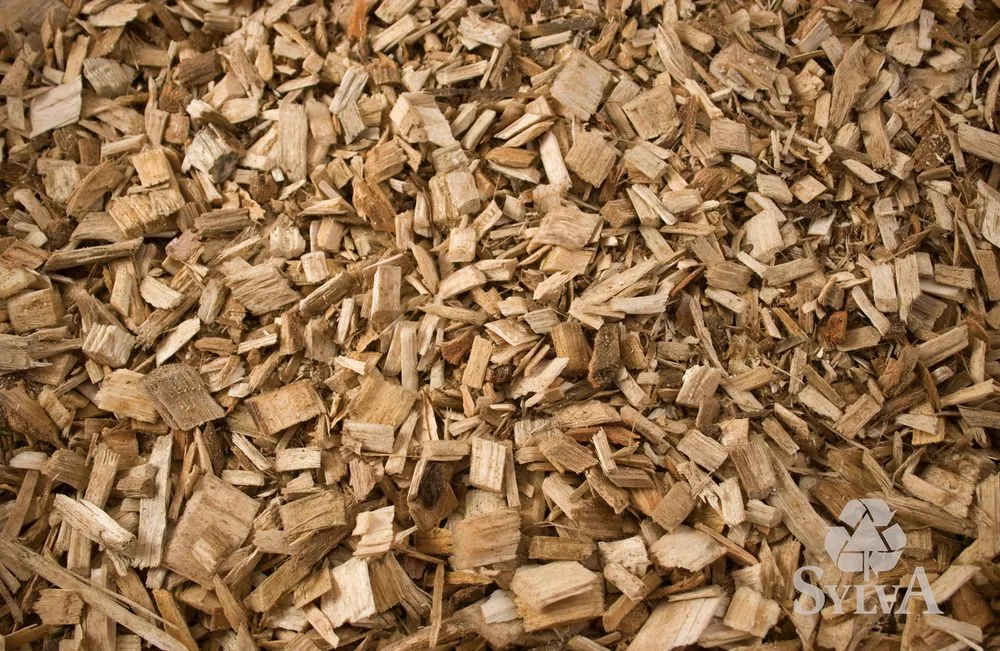 Local outdoor landscaping experts serving Princeton, MN - Sylva Corporation