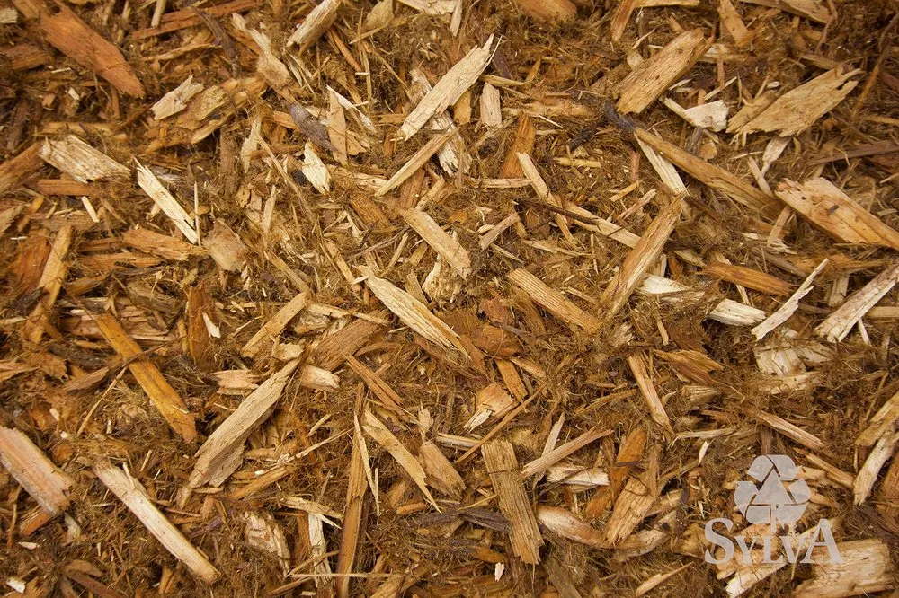 Local landscape installation experts serving Princeton, MN - Sylva Corporation