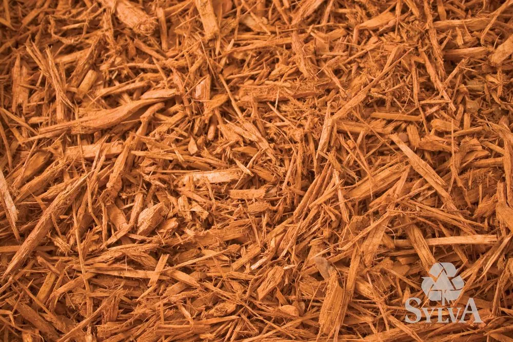 Affordable lawn mowing service for residential properties in Princeton, MN by Sylva Corporation