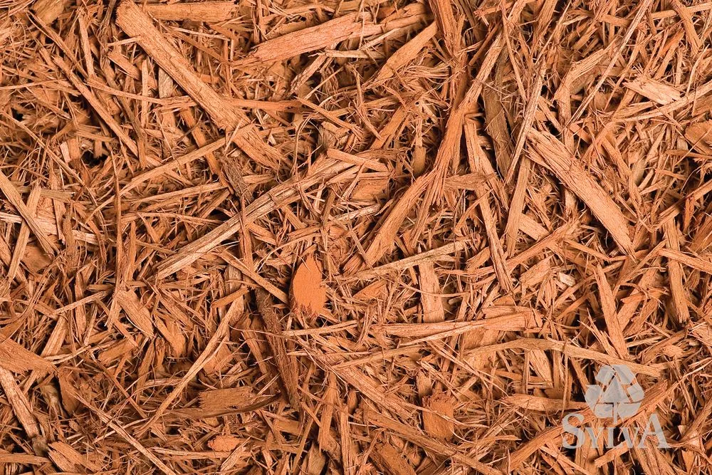 Professional residential landscaping in Princeton, MN - Sylva Corporation