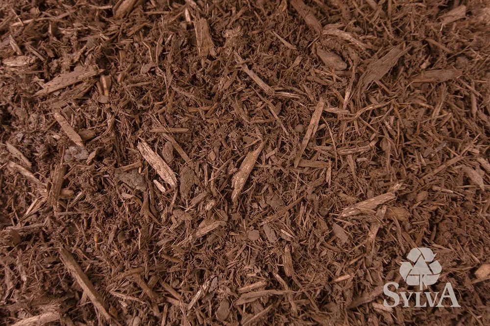 Professional yard maintenance for outdoor upgrades across Princeton, MN - Sylva Corporation