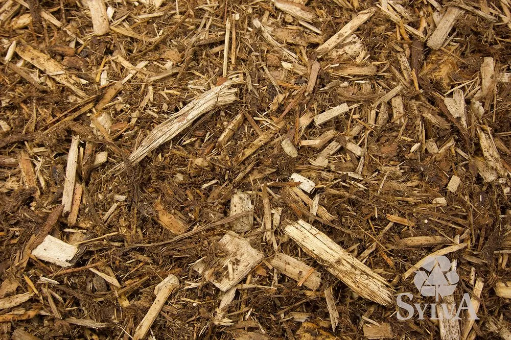 Professional residential landscaping in Princeton, MN - Sylva Corporation