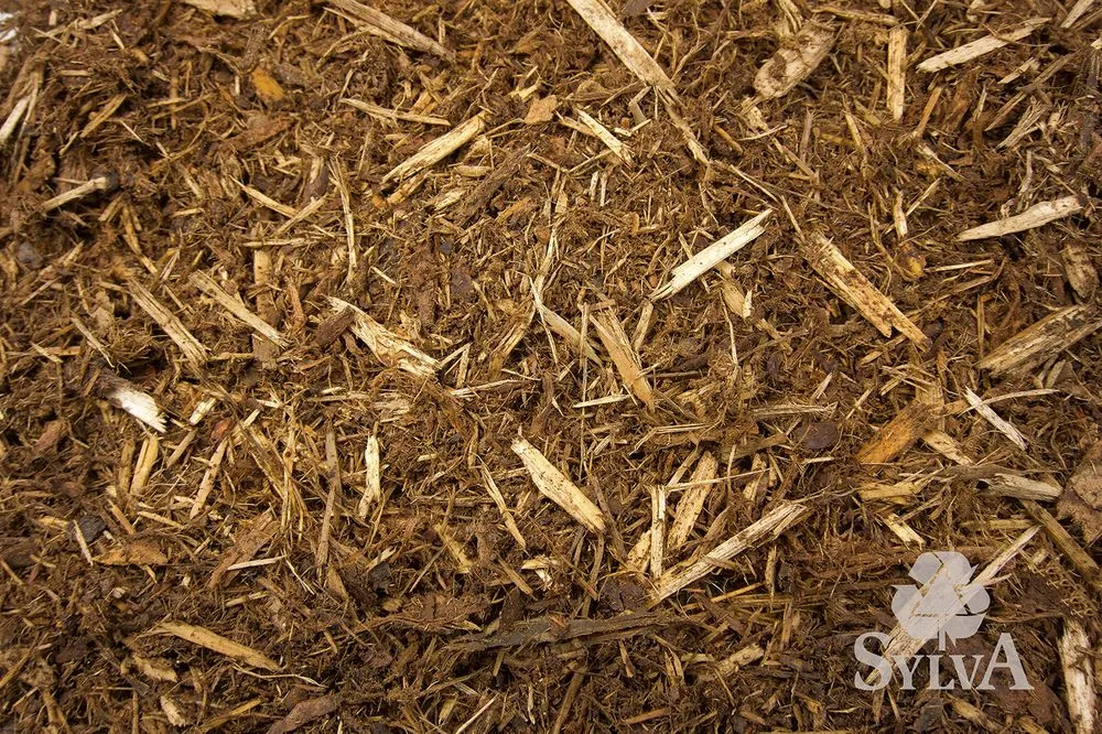 Expert landscape design experts serving Princeton, MN - Sylva Corporation