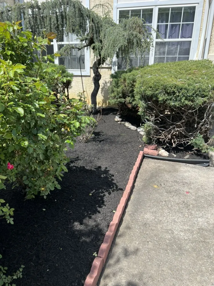Top-rated garden landscaping in Croydon, PA - Sylva landscape and tree service