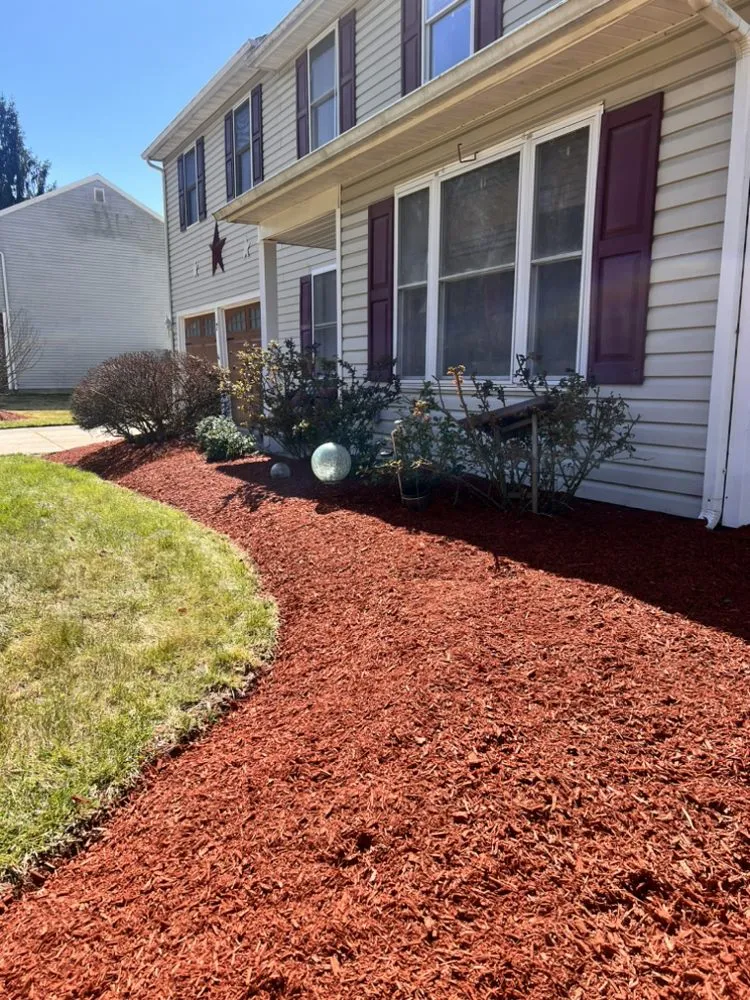 Professional yard cleanup service near you across Croydon, PA - Sylva landscape and tree service