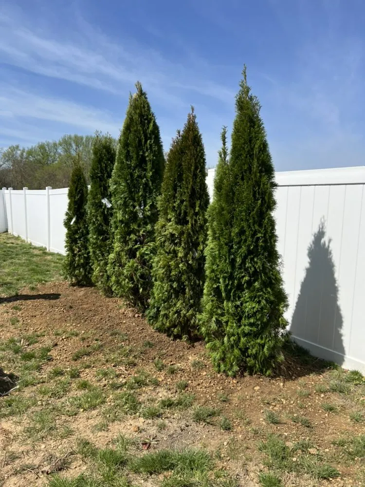 Expert residential landscaping in Croydon, PA - Sylva landscape and tree service