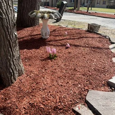 Sylva landscape and tree service Logo