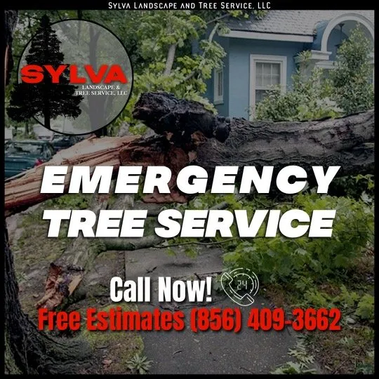 Professional landscape installation experts serving Riverside, NJ - Sylva Landscape and Tree Services