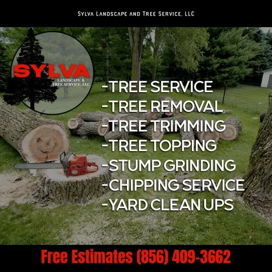 Reliable yard maintenance in Riverside, NJ - Sylva Landscape and Tree Services