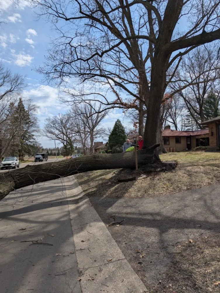 Reliable landscaping services in Elk River, MN by Sylvah Lining