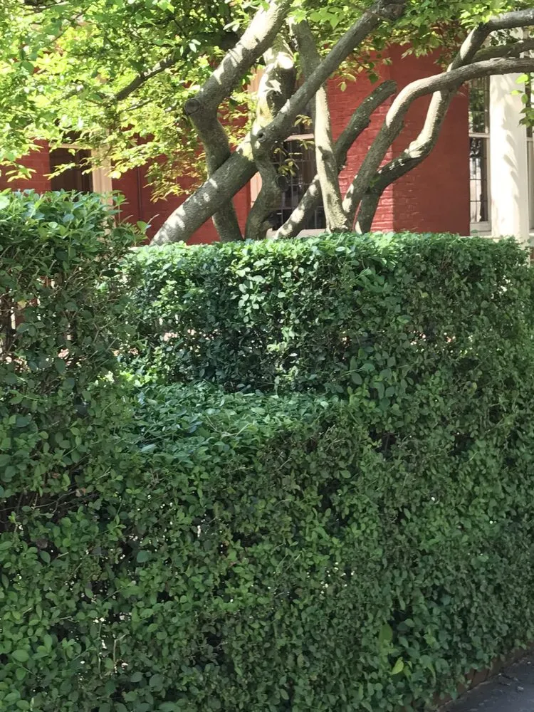 Trusted yard cleanup service for beautiful yards in Perkiomenville, PA by Sylvan Soul