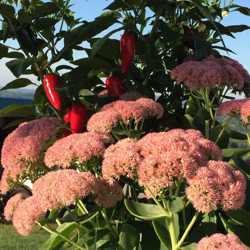 Professional garden landscaping experts serving Perkiomenville, PA - Sylvan Soul