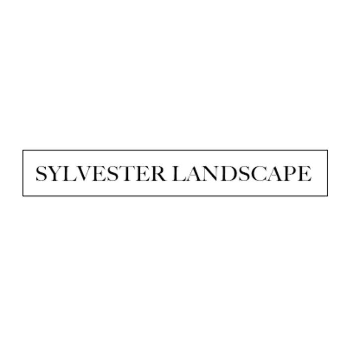 Local yard cleanup service in Converse, TX - Sylvester Landscape