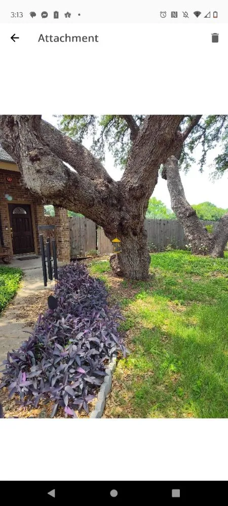 Affordable landscape design in Converse, TX - Sylvester Landscape