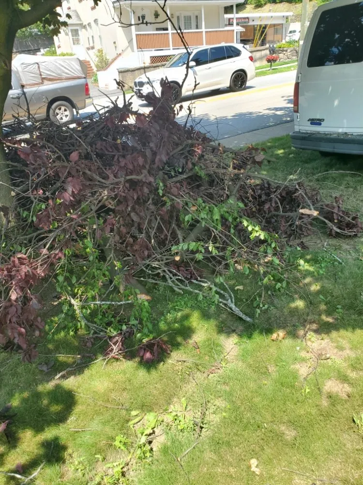 Local landscape installation in Bronx, NY - Sylvester's Home Improvement