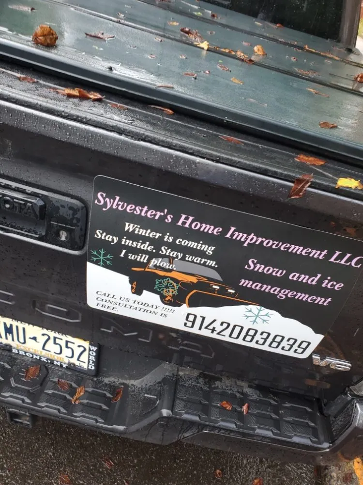 Reliable yard cleanup service in Bronx, NY by Sylvester's Home Improvement