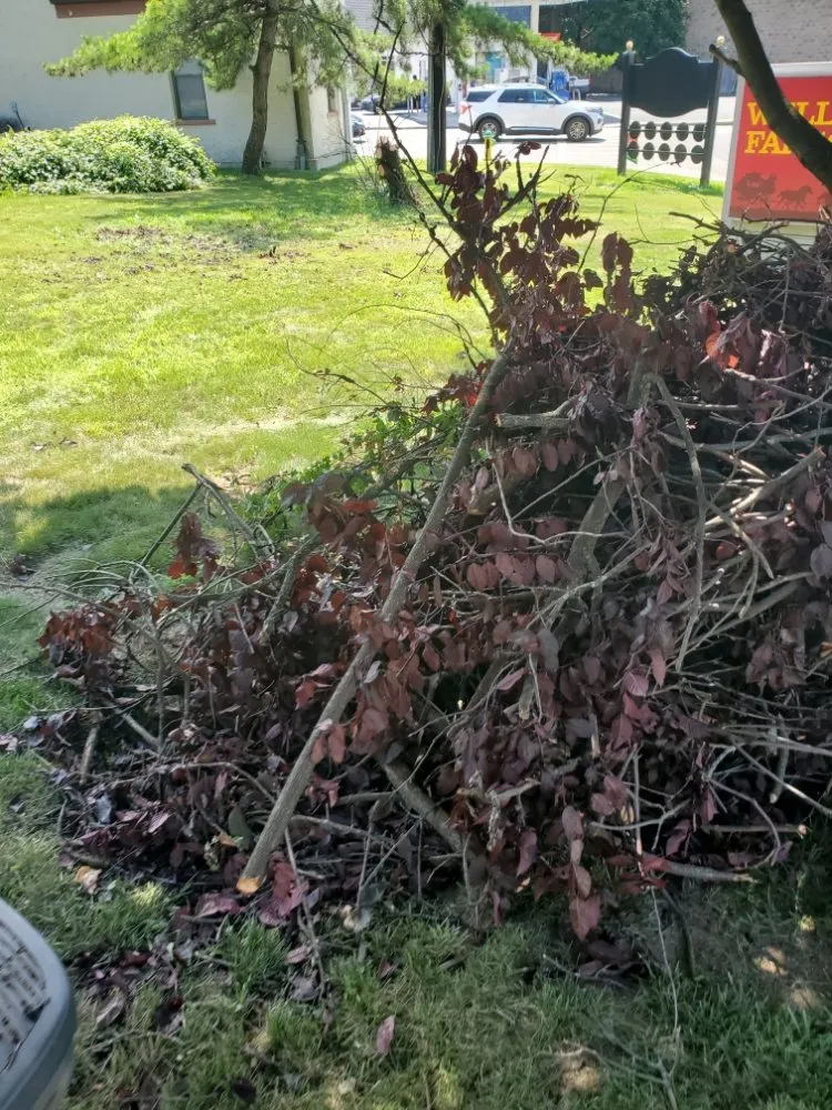 Top-rated landscaping services for residential properties in Bronx, NY by Sylvester's Home Improvement