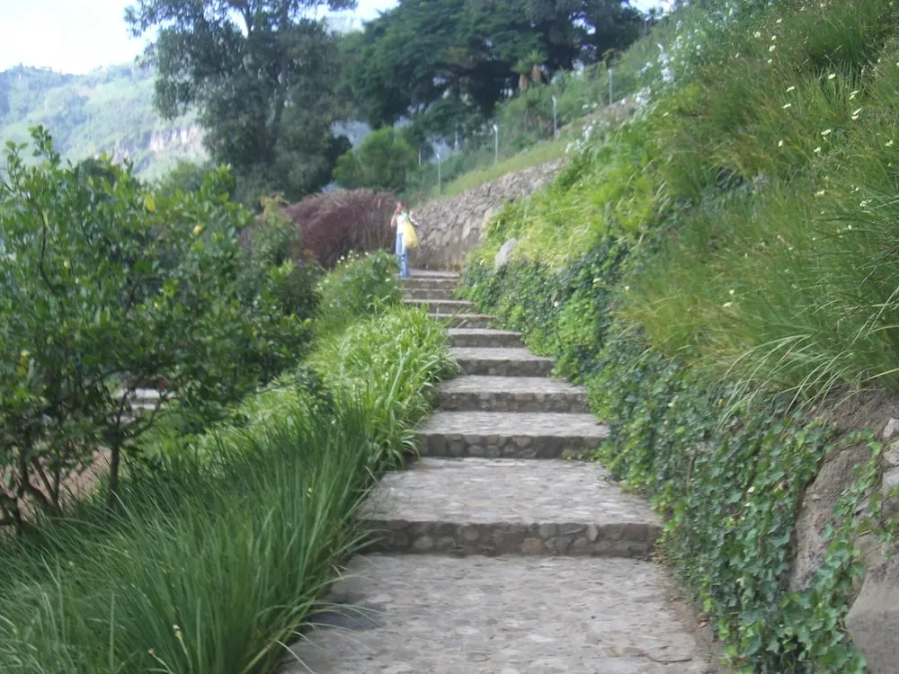 Local lawn mowing service in Winnetka, IL - Sylvia's Landscape