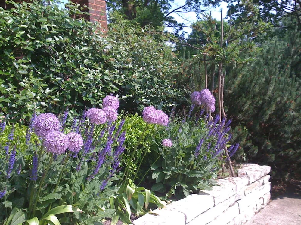 Trusted garden landscaping experts serving Winnetka, IL - Sylvia's Landscape