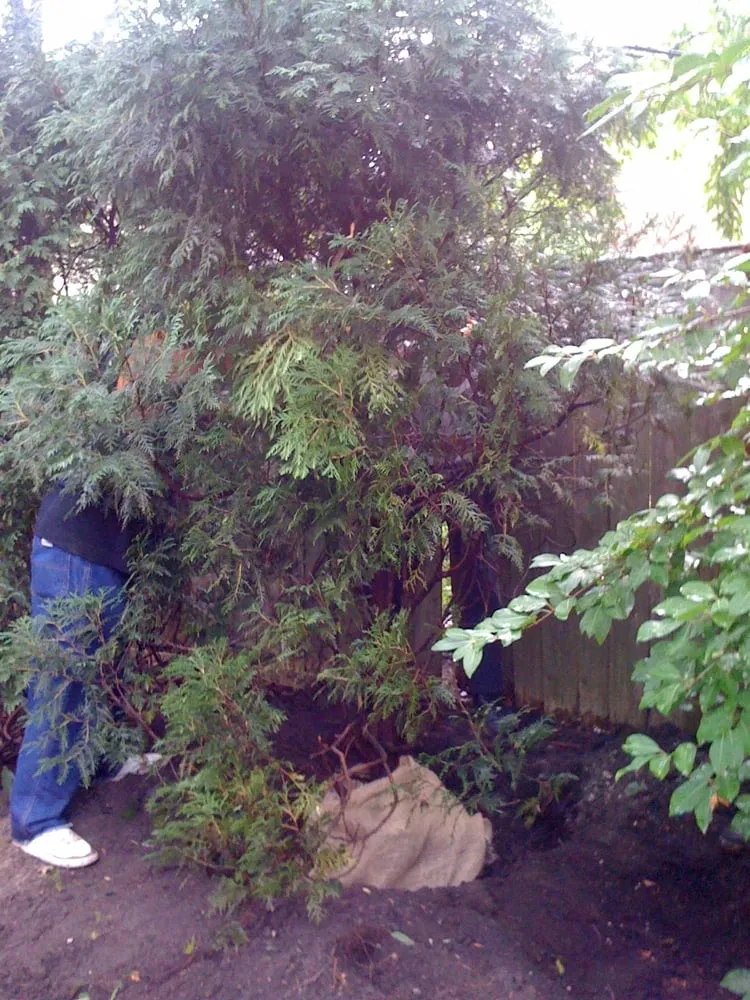 Trusted lawn care service for year-round maintenance across Winnetka, IL - Sylvia's Landscape