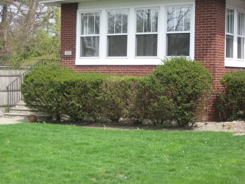Affordable garden landscaping experts serving Winnetka, IL - Sylvia's Landscape