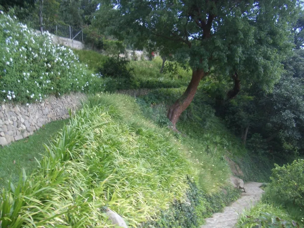 Custom residential landscaping in Winnetka, IL - Sylvia's Landscape