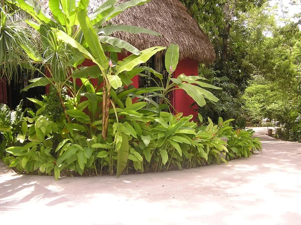 Custom lawn care service for homes in Winnetka, IL by Sylvia's Landscape