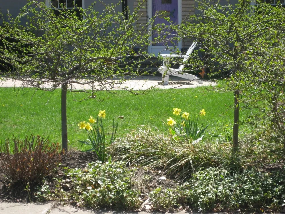 Professional lawn mowing service for beautiful yards across Winnetka, IL - Sylvia's Landscape