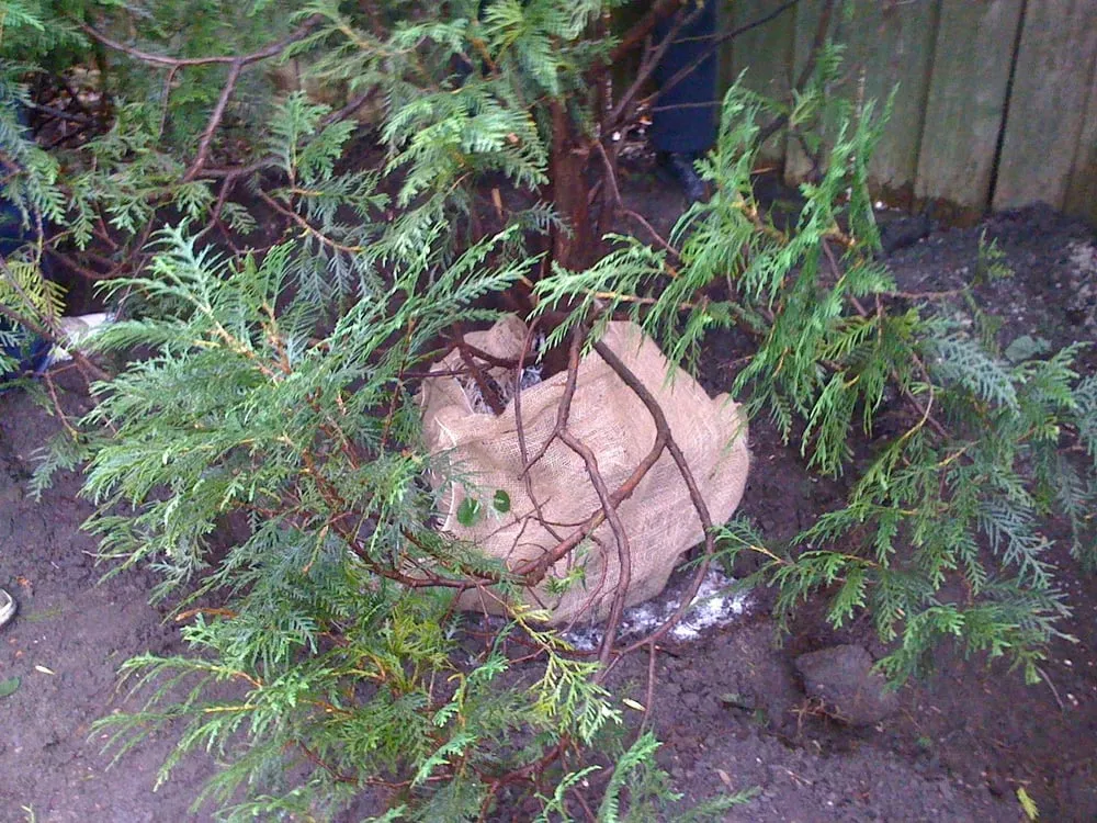 Reliable residential landscaping experts serving Winnetka, IL - Sylvia's Landscape