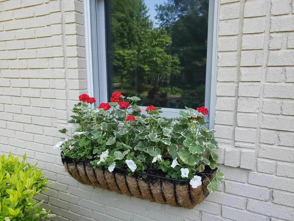 Expert yard maintenance for beautiful yards in Bloomington, IN by Sylvie Rose Home & Outdoor Services