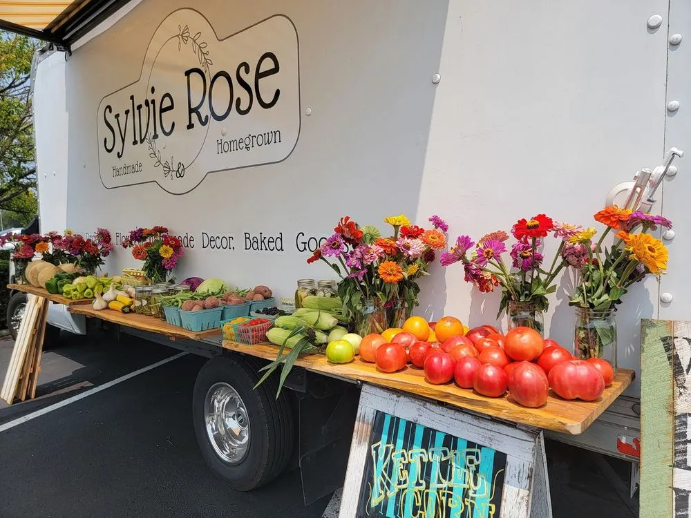 Professional yard cleanup service for outdoor upgrades in Bloomington, IN by Sylvie Rose Home & Outdoor Services