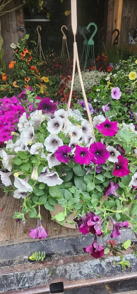 Trusted yard cleanup service experts serving Bloomington, IN - Sylvie Rose Home & Outdoor Services