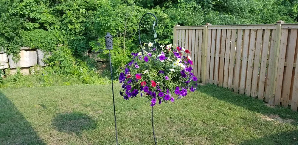 Trusted yard cleanup service for outdoor upgrades in Bloomington, IN by Sylvie Rose Home & Outdoor Services