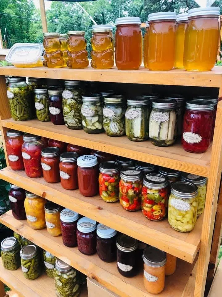 Top-rated landscaping services for homes across Bloomington, IN - Sylvie Rose Home & Outdoor Services