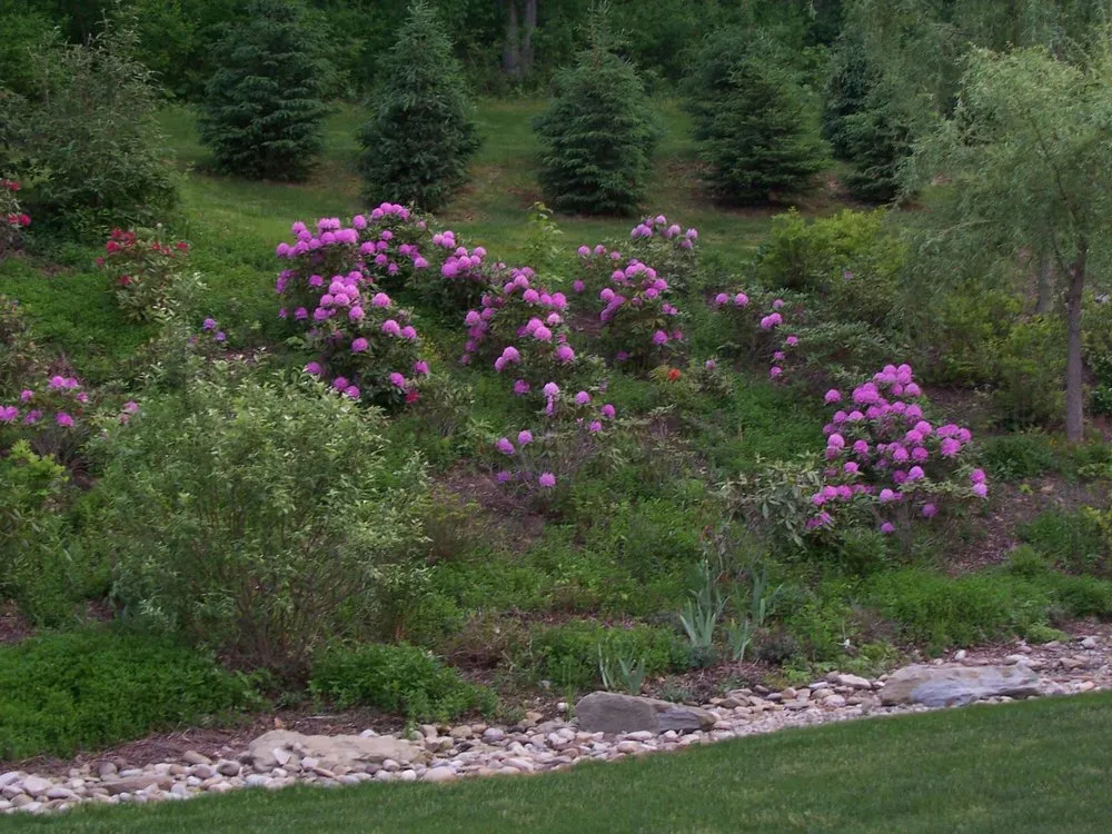 Reliable lawn care service for beautiful yards across Gibsonia, PA - Symanski Landscaping & Supply