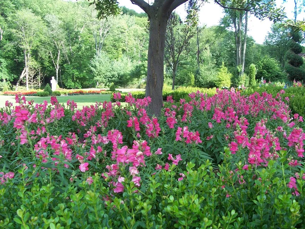 Affordable landscaping services experts serving Gibsonia, PA - Symanski Landscaping & Supply