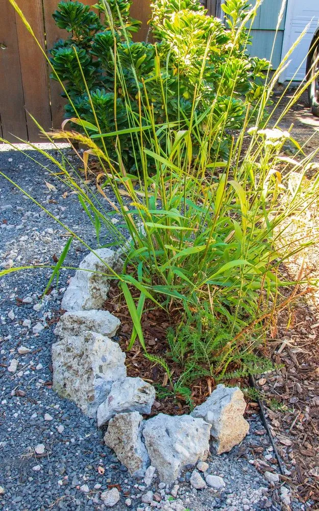 Top-rated yard cleanup service experts serving Portland, OR - SymbiOp Landscaping