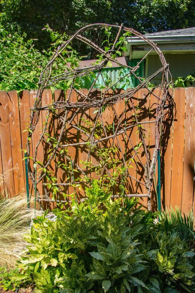 Reliable landscape installation in Portland, OR - SymbiOp Landscaping