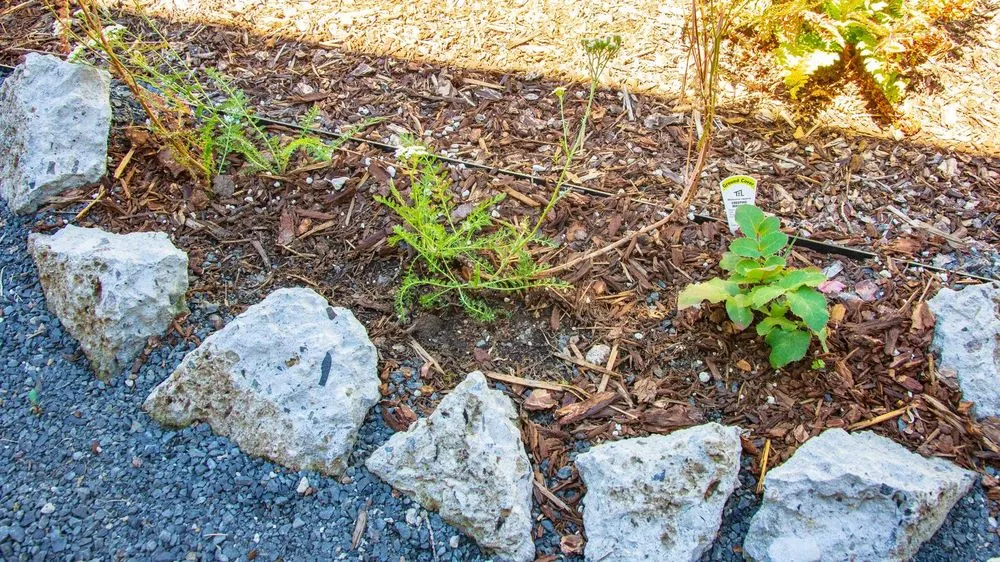 Expert residential landscaping in Portland, OR - SymbiOp Landscaping