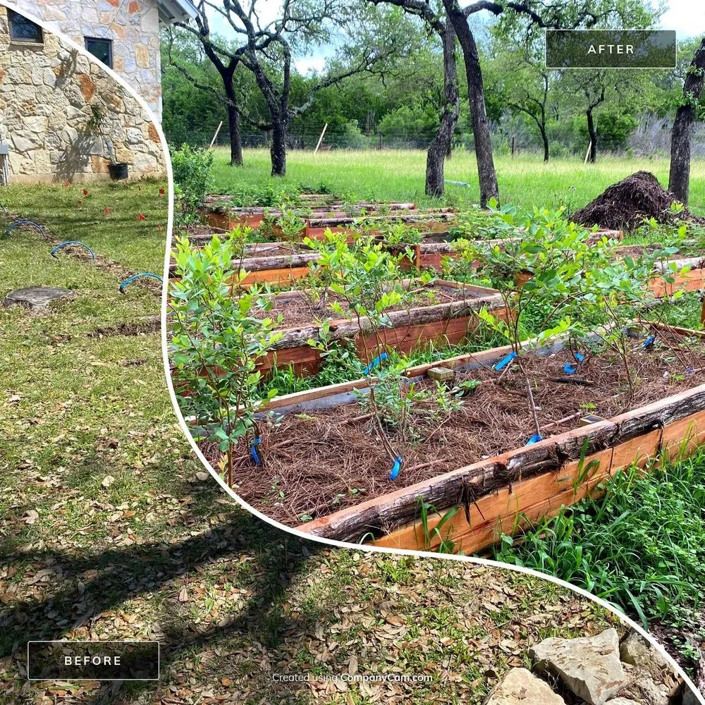 Trusted landscape design in Wimberley, TX by Symbiosis