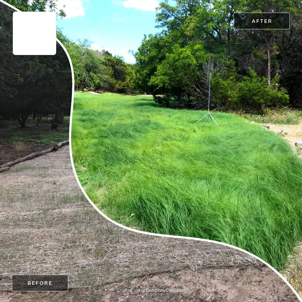 Top-rated landscaping services experts serving Wimberley, TX - Symbiosis